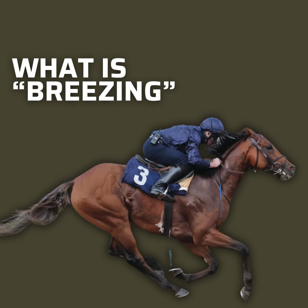 HORSE RACE TERM: BREEZING