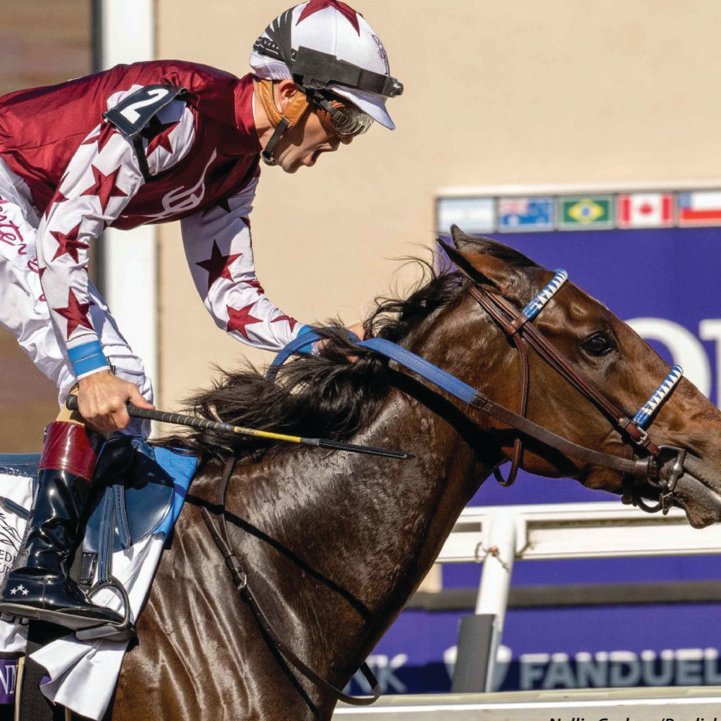 BREEDERS' CUP RECAP: THE GOOD, THE BAD, AND THE UGLY