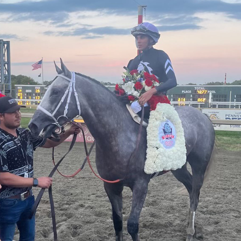 SEIZE THE GREY WINS PENNSYLVANIA DERBY