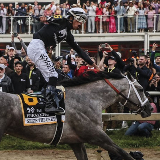 SEIZE THE GREY WINS PREAKNESS STAKES, DENIES MYSTIK DAN